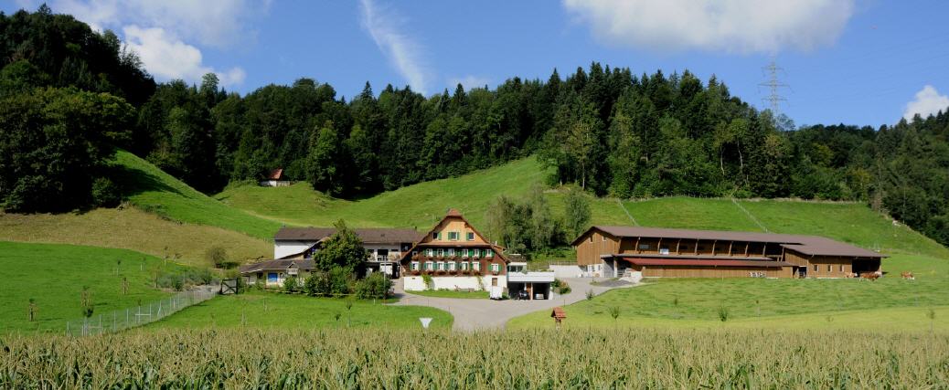 Hof Trüllental, Daiwil